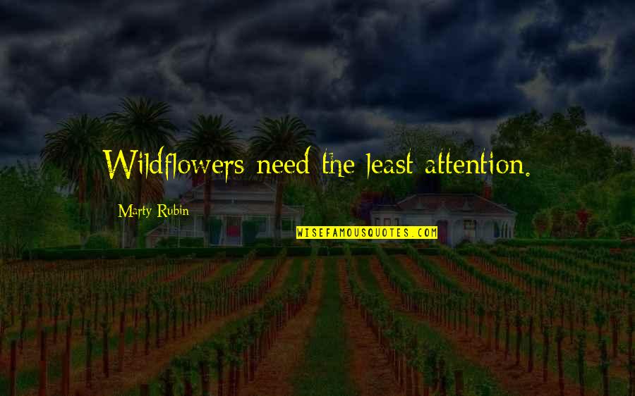 Need For Attention Quotes By Marty Rubin: Wildflowers need the least attention. Need For Attention Quotes By Marty Rubin: Wildflowers need the least attention.