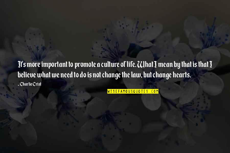 Need Life Change Quotes By Charlie Crist: It's more important to promote a culture of