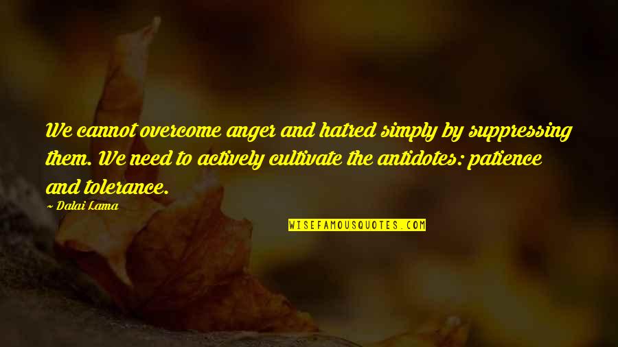 Need More Patience Quotes By Dalai Lama: We cannot overcome anger and hatred simply by
