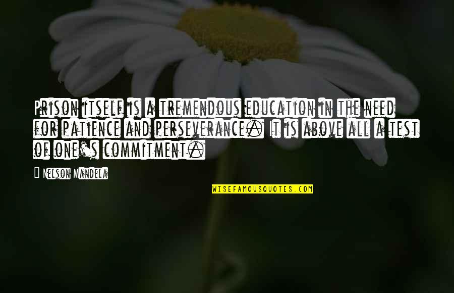 Need More Patience Quotes By Nelson Mandela: Prison itself is a tremendous education in the