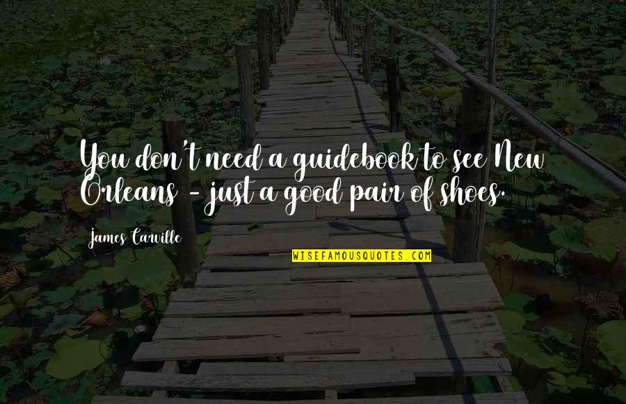 Need New Shoes Quotes By James Carville: You don't need a guidebook to see New
