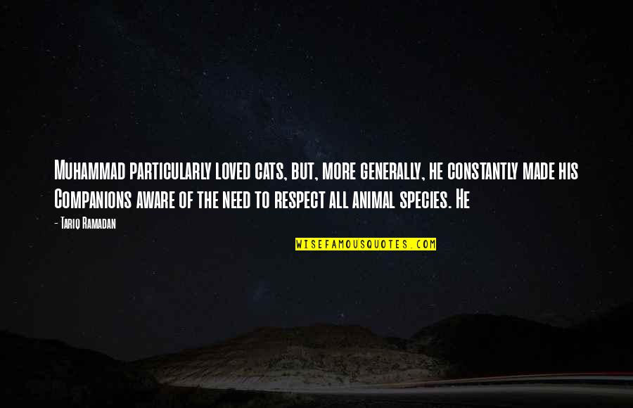 Need Respect Quotes By Tariq Ramadan: Muhammad particularly loved cats, but, more generally, he