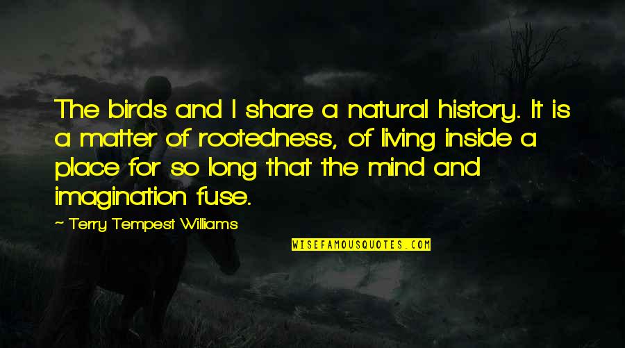 Need Sleeping Pills Quotes By Terry Tempest Williams: The birds and I share a natural history.