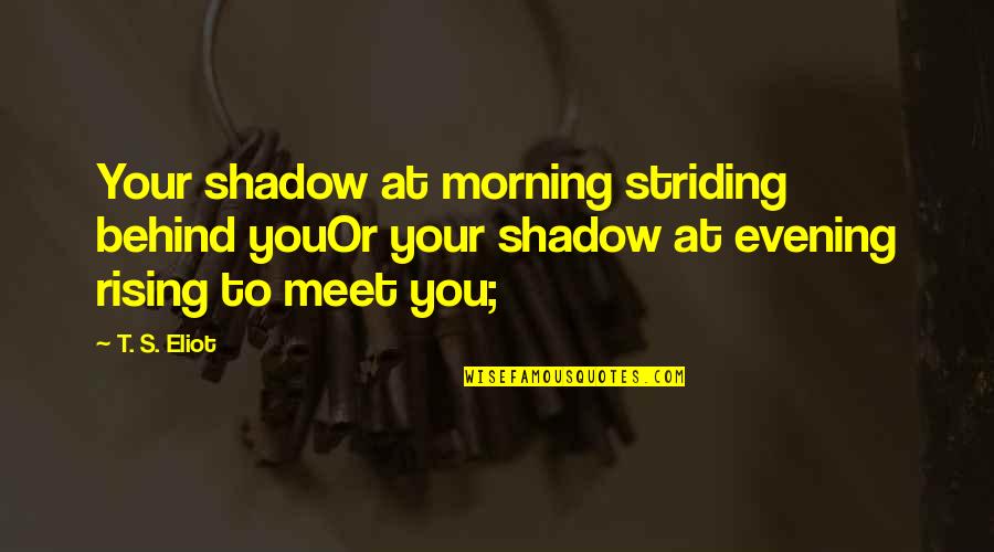 Need Some Alone Time Quotes By T. S. Eliot: Your shadow at morning striding behind youOr your
