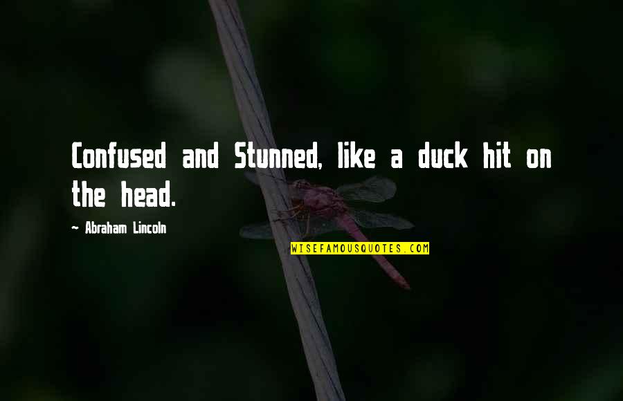 Need Some Time Alone Quotes By Abraham Lincoln: Confused and Stunned, like a duck hit on