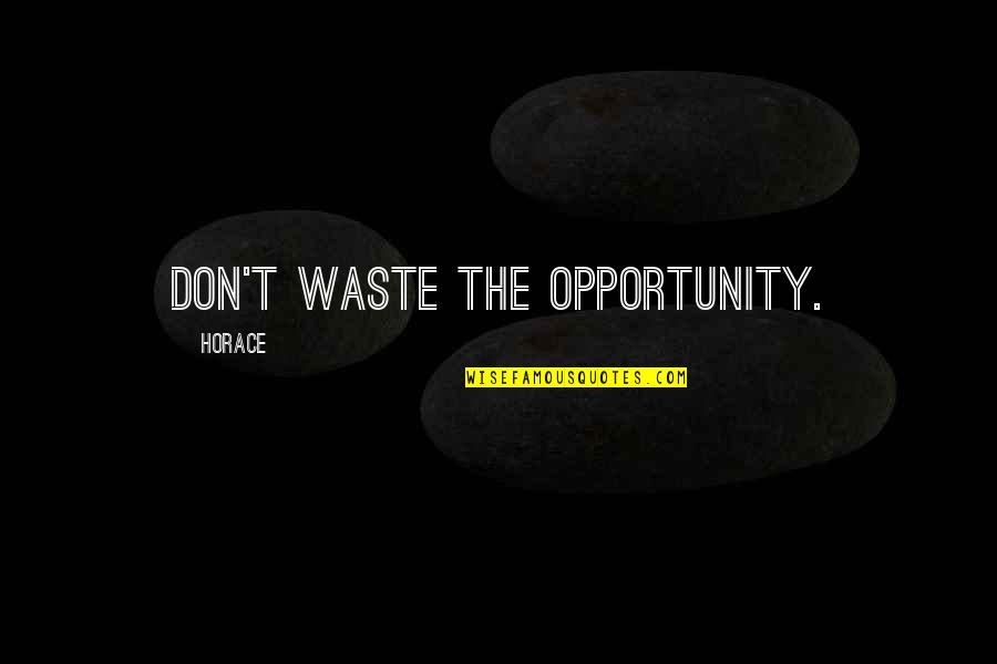 Need Someone New Quotes By Horace: Don't waste the opportunity.