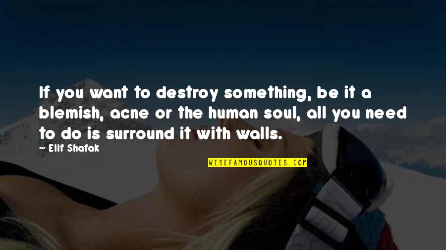 Need Something To Do Quotes By Elif Shafak: If you want to destroy something, be it Need Something To Do Quotes By Elif Shafak: If you want to destroy something, be it
