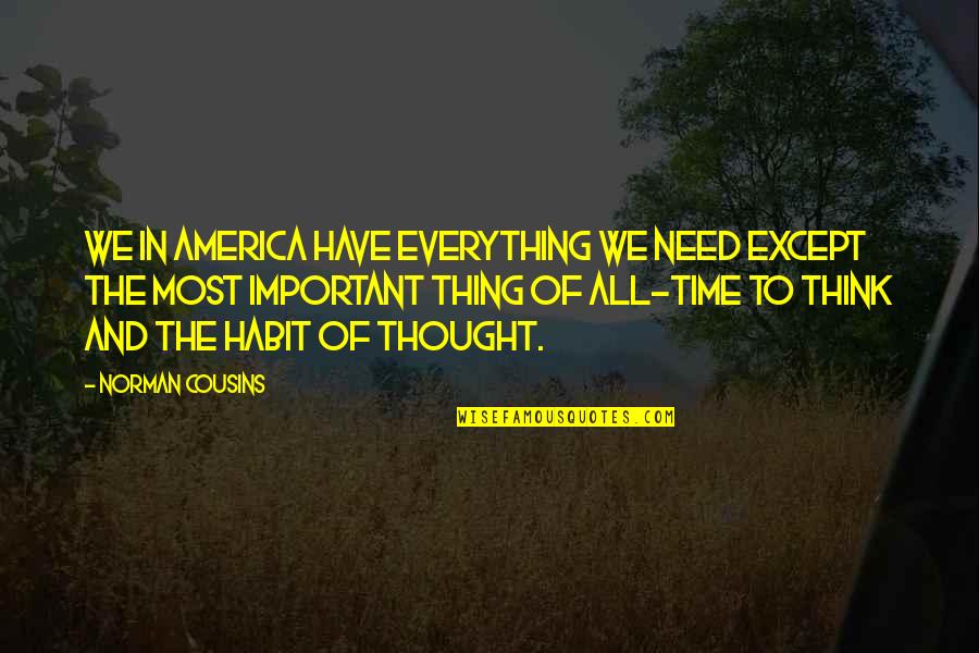 Need Time To Think Quotes By Norman Cousins: We in America have everything we need except