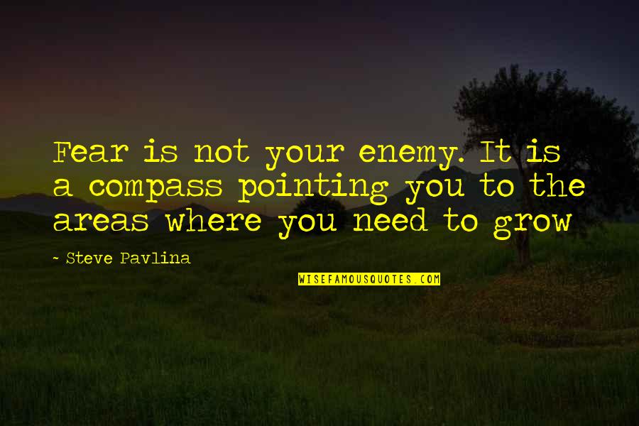 Need To Grow Up Quotes By Steve Pavlina: Fear is not your enemy. It is a