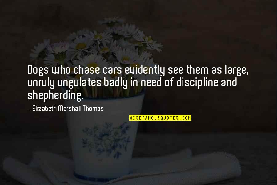 Need You So Badly Quotes By Elizabeth Marshall Thomas: Dogs who chase cars evidently see them as