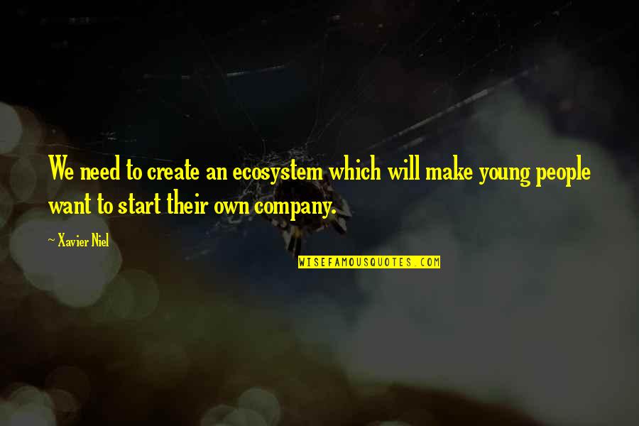 Need Your Company Quotes By Xavier Niel: We need to create an ecosystem which will Need Your Company Quotes By Xavier Niel: We need to create an ecosystem which will