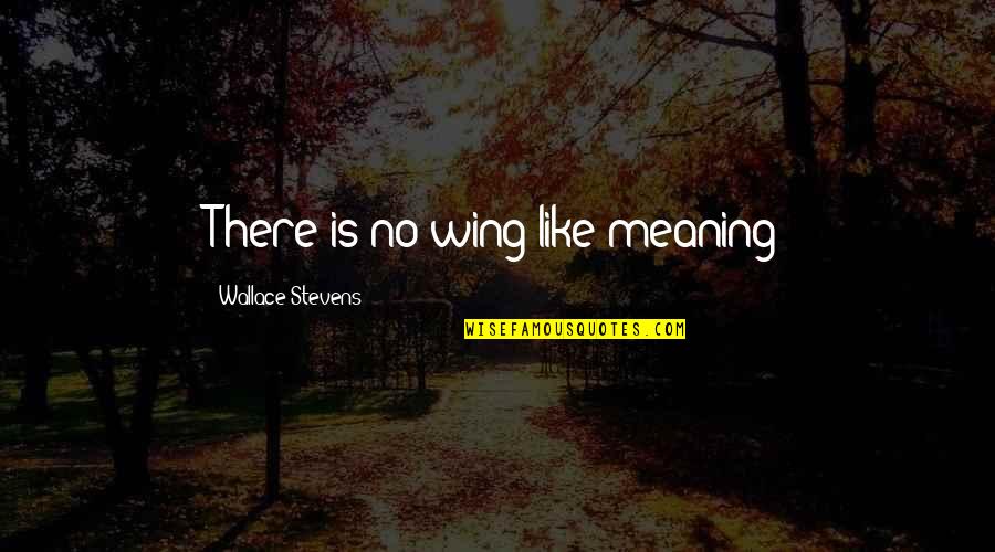 Needing A Change Quotes By Wallace Stevens: There is no wing like meaning