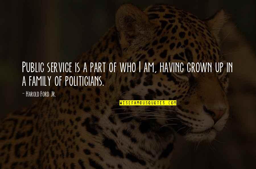 Needing Emotional Support Quotes By Harold Ford Jr.: Public service is a part of who I