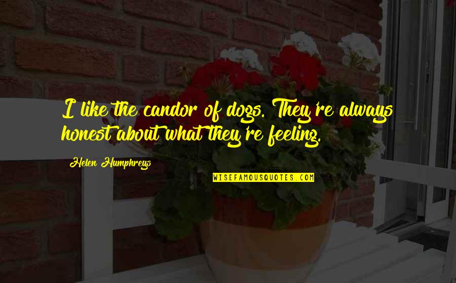 Needing Someone To Be There Quotes By Helen Humphreys: I like the candor of dogs. They're always