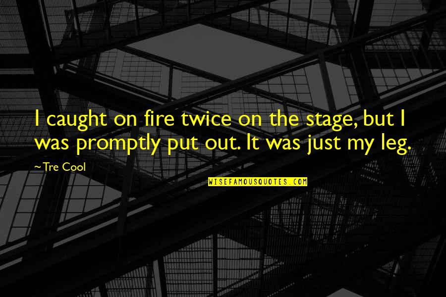 Needing Someone To Change Quotes By Tre Cool: I caught on fire twice on the stage,