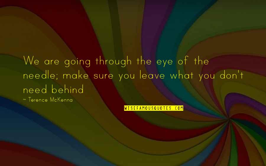 Needle Eye Quotes By Terence McKenna: We are going through the eye of the