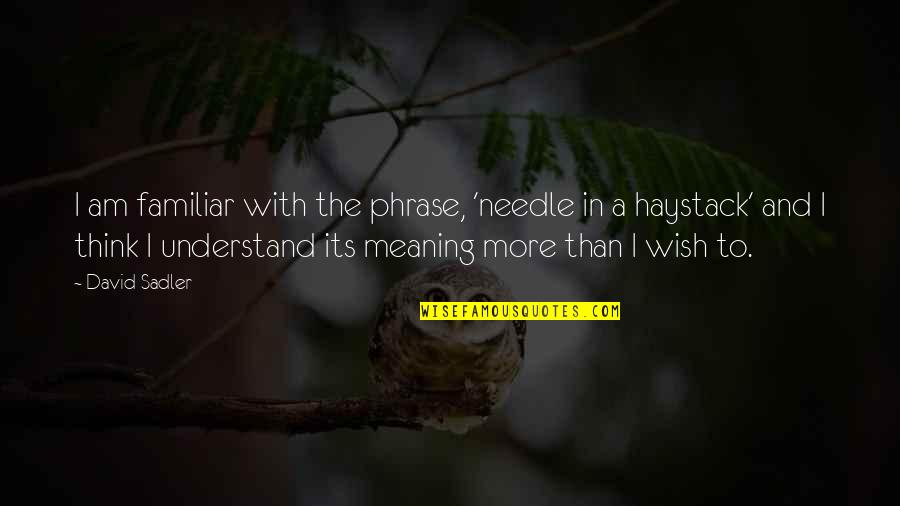 Needle In A Haystack Quotes By David Sadler: I am familiar with the phrase, 'needle in Needle In A Haystack Quotes By David Sadler: I am familiar with the phrase, 'needle in
