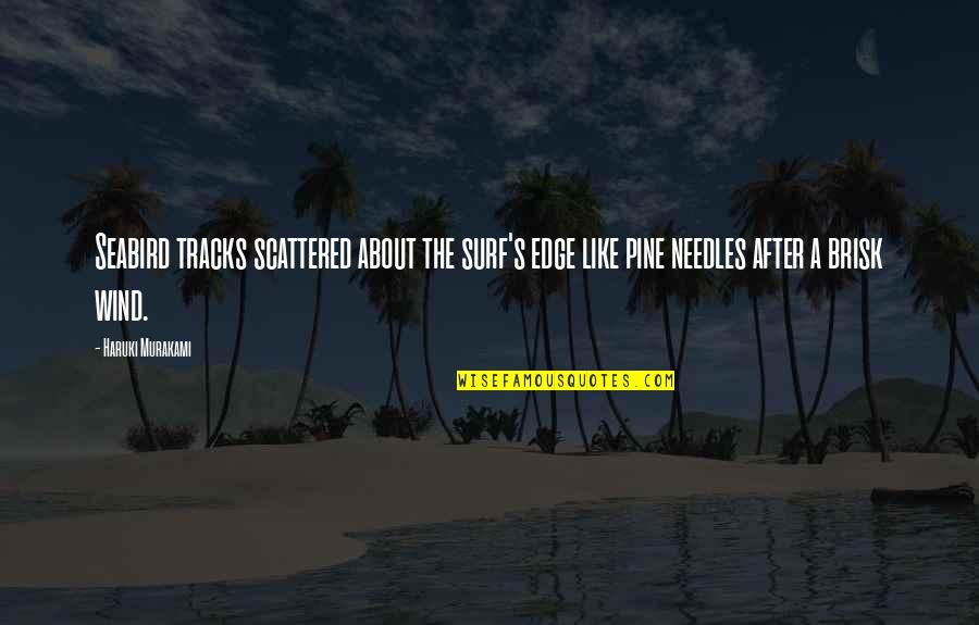 Needles Quotes By Haruki Murakami: Seabird tracks scattered about the surf's edge like Needles Quotes By Haruki Murakami: Seabird tracks scattered about the surf's edge like