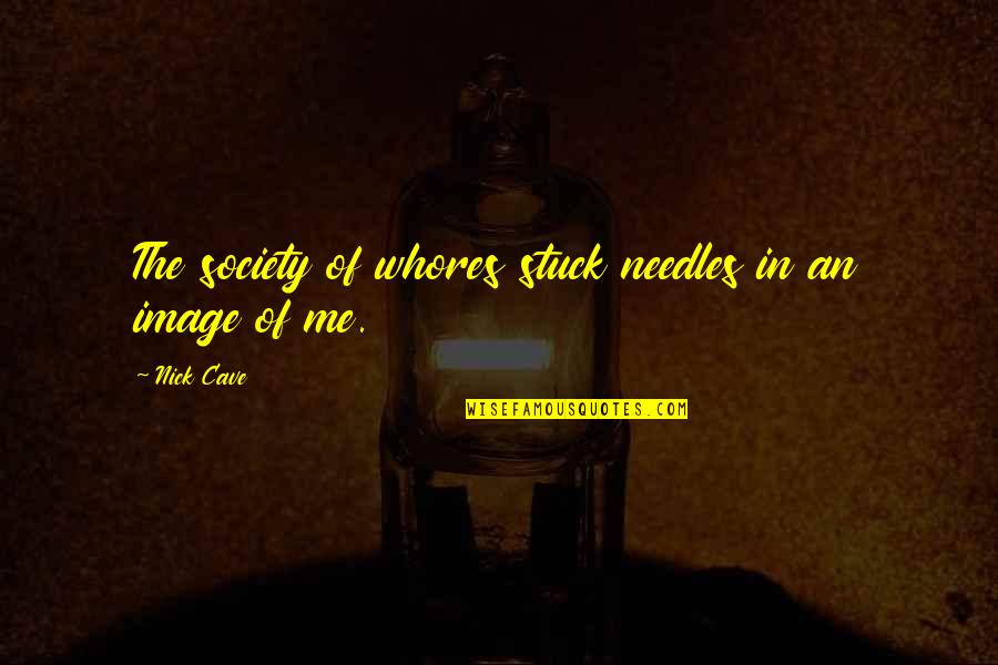 Needles Quotes By Nick Cave: The society of whores stuck needles in an