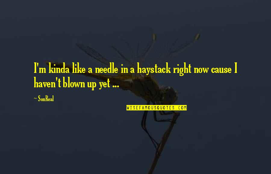 Needles Quotes By SonReal: I'm kinda like a needle in a haystack