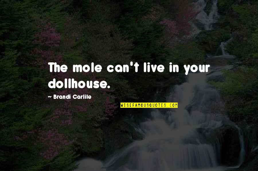 Needless Worry Quotes By Brandi Carlile: The mole can't live in your dollhouse.
