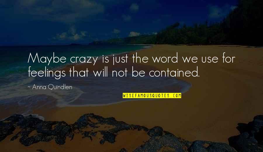 Needra Herres Quotes By Anna Quindlen: Maybe crazy is just the word we use