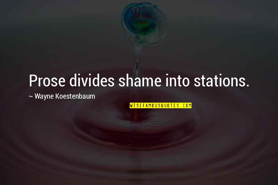 Neek Bucks Quotes By Wayne Koestenbaum: Prose divides shame into stations.