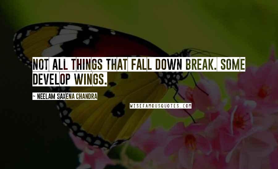 Neelam Saxena Chandra quotes: Not all things that fall down break. Some develop wings.