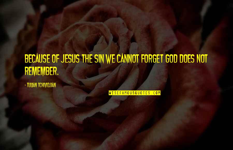 Neelie Quotes By Tullian Tchividjian: Because of Jesus the sin we cannot forget Neelie Quotes By Tullian Tchividjian: Because of Jesus the sin we cannot forget