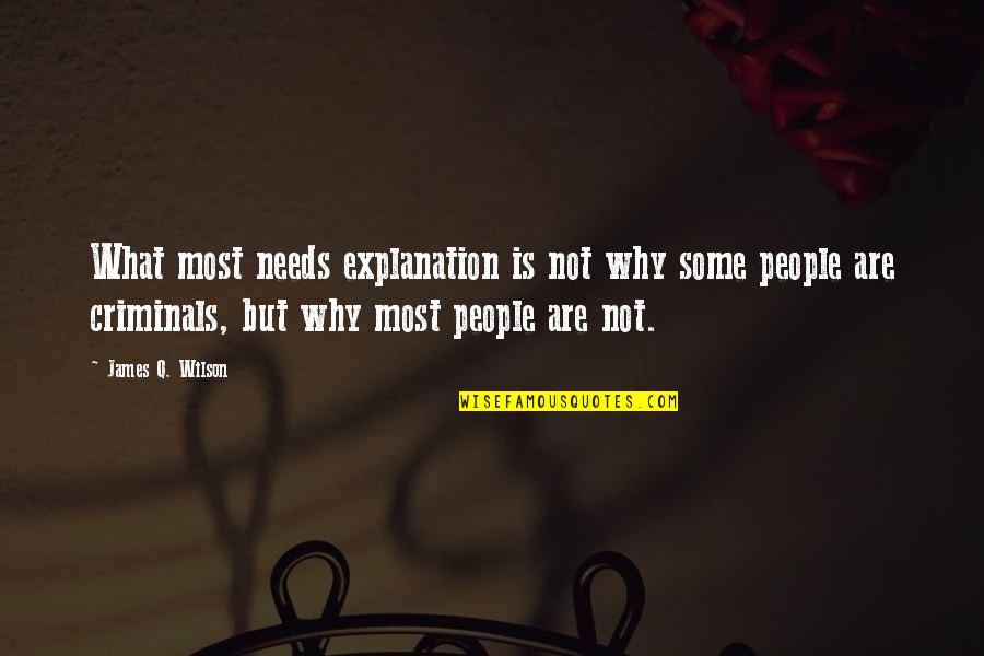 Neffie Trader Quotes By James Q. Wilson: What most needs explanation is not why some Neffie Trader Quotes By James Q. Wilson: What most needs explanation is not why some
