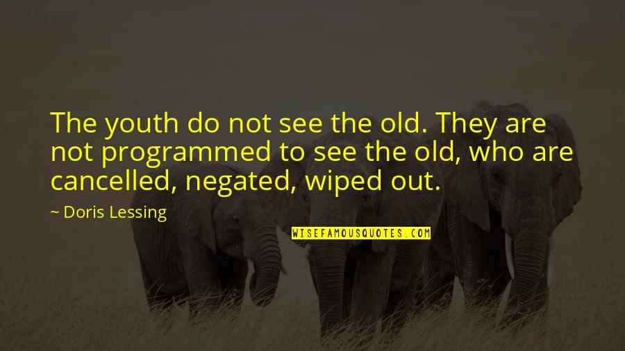 Negated Quotes By Doris Lessing: The youth do not see the old. They