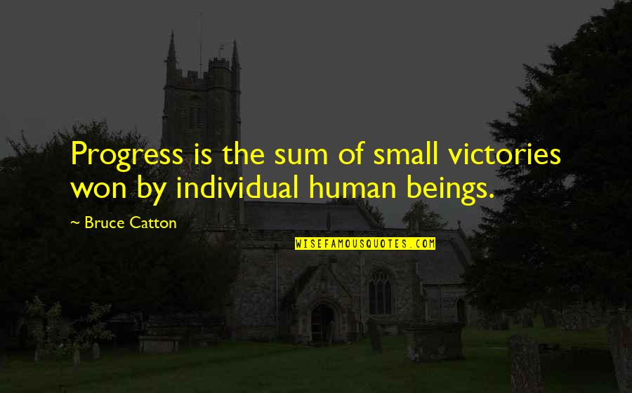 Negative Effects Quotes By Bruce Catton: Progress is the sum of small victories won