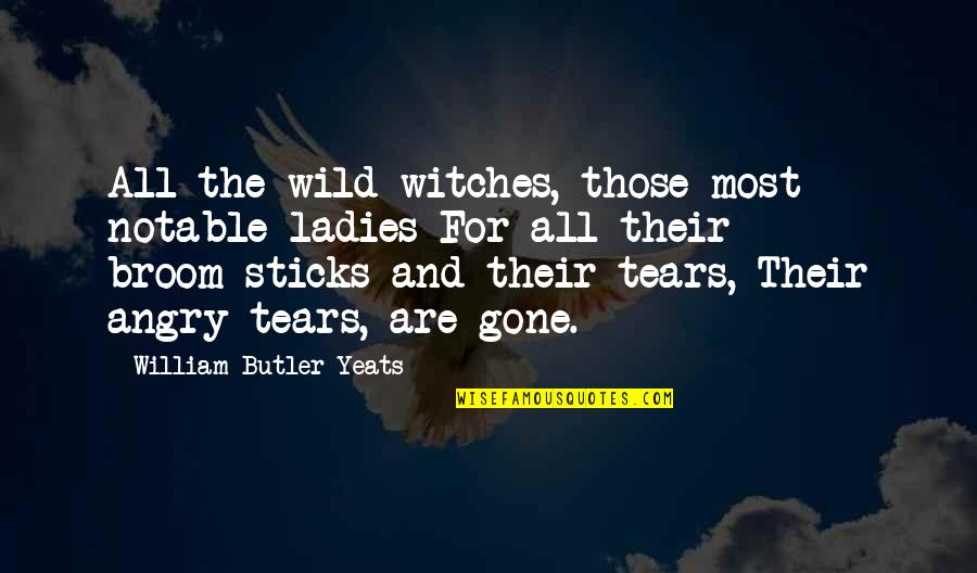 Negative Environments Quotes By William Butler Yeats: All the wild-witches, those most notable ladies For
