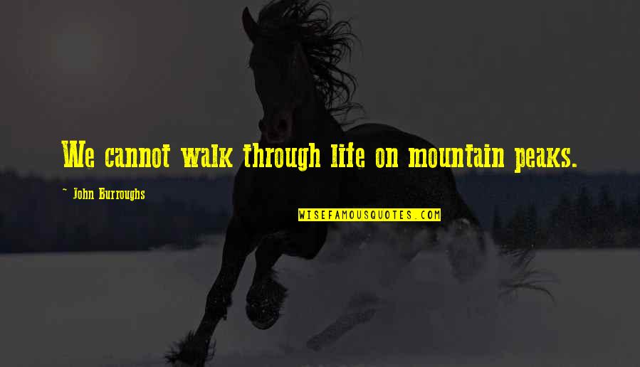 Negative Outlook On Life Quotes By John Burroughs: We cannot walk through life on mountain peaks.
