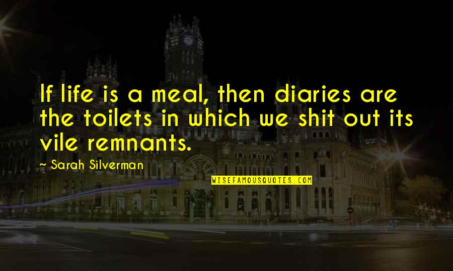 Negative Political Campaigning Quotes By Sarah Silverman: If life is a meal, then diaries are