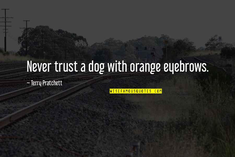 Negative Thesaurus Quotes By Terry Pratchett: Never trust a dog with orange eyebrows.
