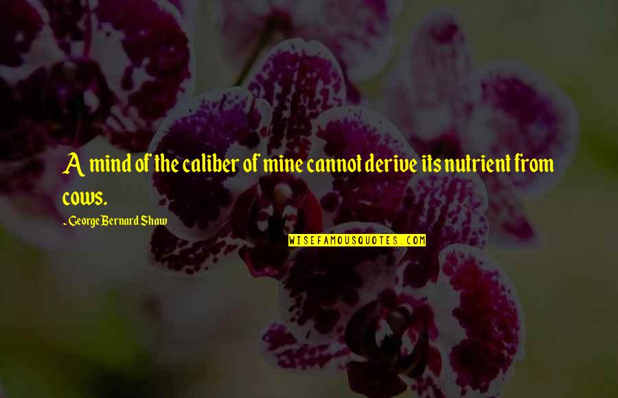 Negative Young Love Quotes By George Bernard Shaw: A mind of the caliber of mine cannot