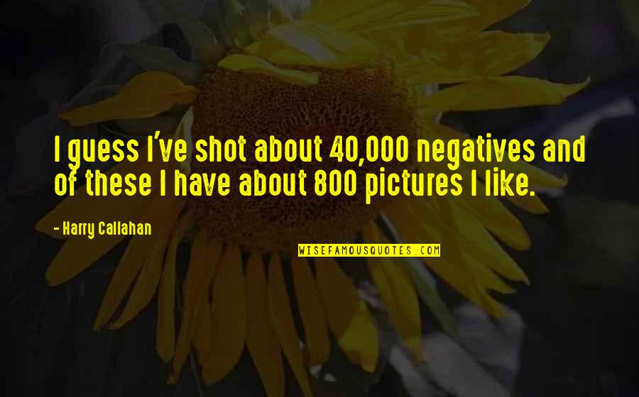 Negatives Quotes By Harry Callahan: I guess I've shot about 40,000 negatives and Negatives Quotes By Harry Callahan: I guess I've shot about 40,000 negatives and