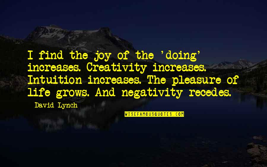 Negativity Quotes By David Lynch: I find the joy of the 'doing' increases.