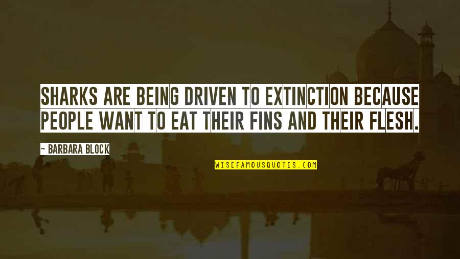 Negev Machine Quotes By Barbara Block: Sharks are being driven to extinction because people Negev Machine Quotes By Barbara Block: Sharks are being driven to extinction because people