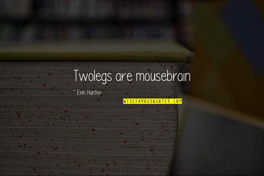 Neglection Quotes By Erin Hunter: Twolegs are mousebrain Neglection Quotes By Erin Hunter: Twolegs are mousebrain