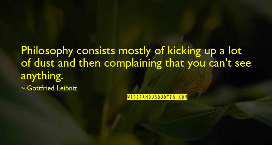 Negoescu Dan Quotes By Gottfried Leibniz: Philosophy consists mostly of kicking up a lot