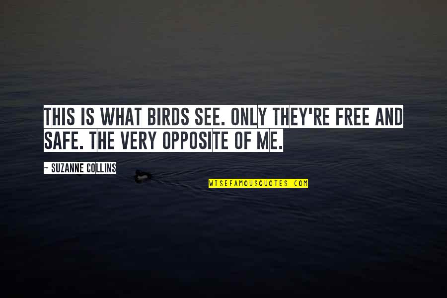 Negotiates Quotes By Suzanne Collins: This is what birds see. Only they're free
