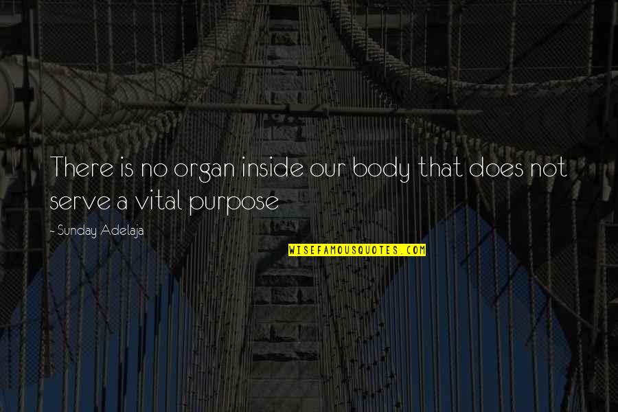 Negrelli Plane Quotes By Sunday Adelaja: There is no organ inside our body that