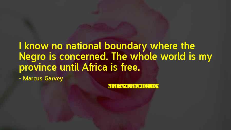Negro Quotes By Marcus Garvey: I know no national boundary where the Negro
