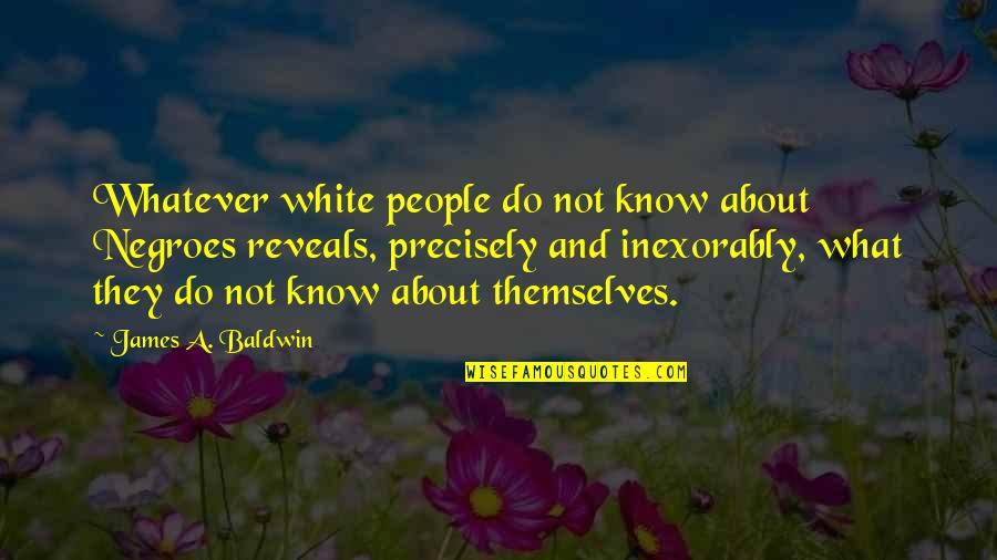 Negroes Quotes By James A. Baldwin: Whatever white people do not know about Negroes