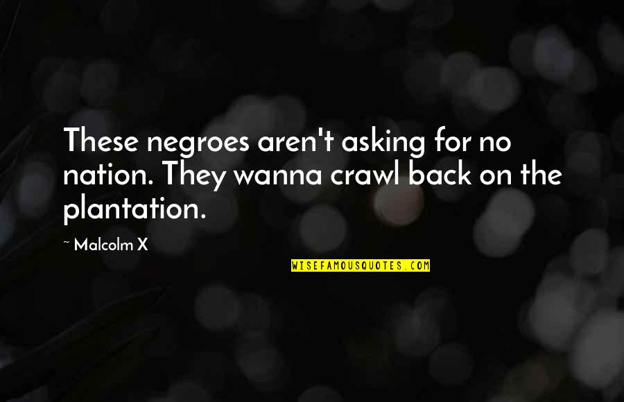 Negroes Quotes By Malcolm X: These negroes aren't asking for no nation. They