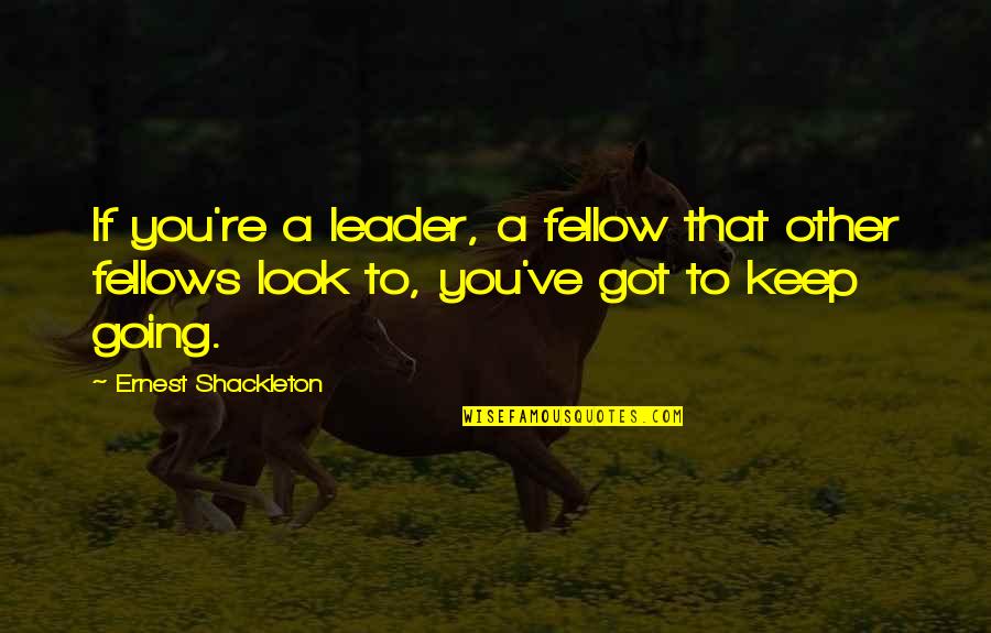 Negroponte Hotel Quotes By Ernest Shackleton: If you're a leader, a fellow that other Negroponte Hotel Quotes By Ernest Shackleton: If you're a leader, a fellow that other