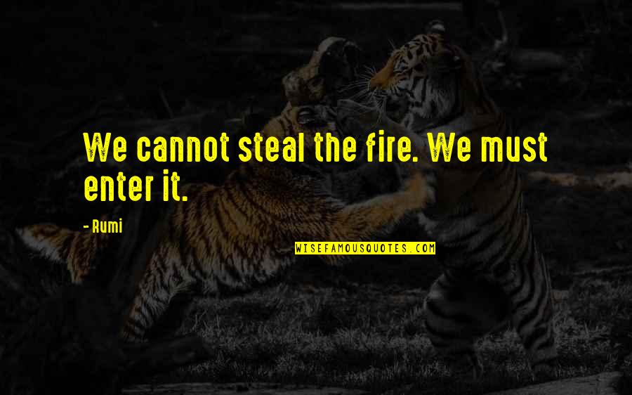 Negruzzi Quotes By Rumi: We cannot steal the fire. We must enter