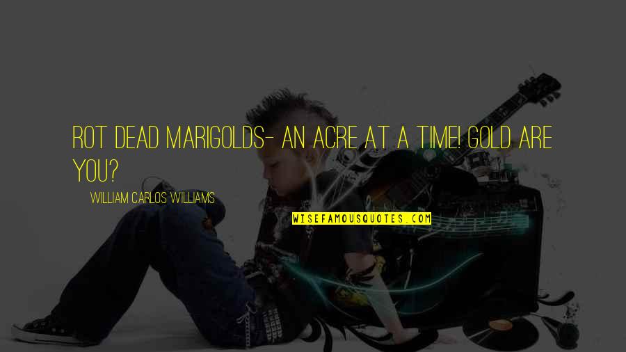 Neidhardt Law Quotes By William Carlos Williams: Rot dead marigolds- an acre at a time!
